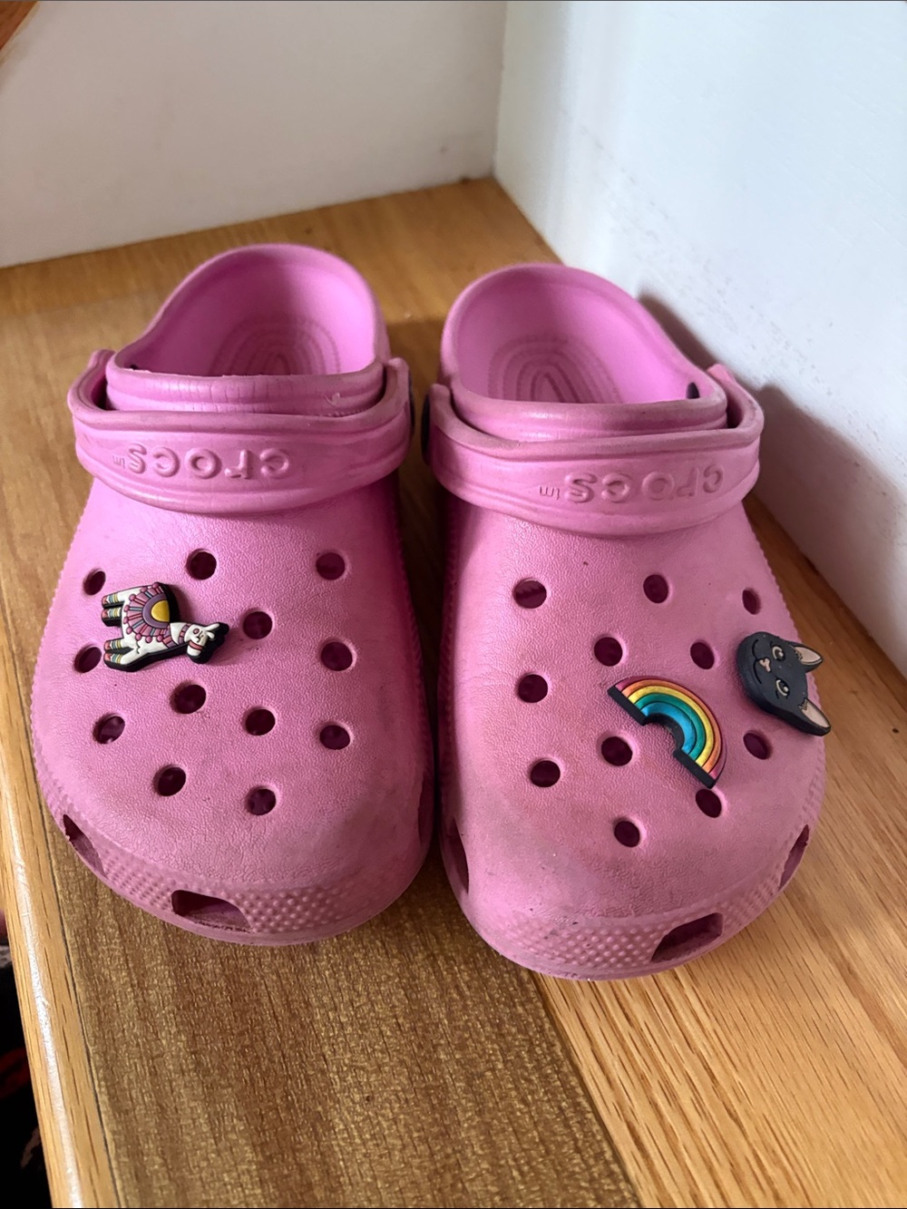 CROCS Kids Pink Classic Clog with Charms